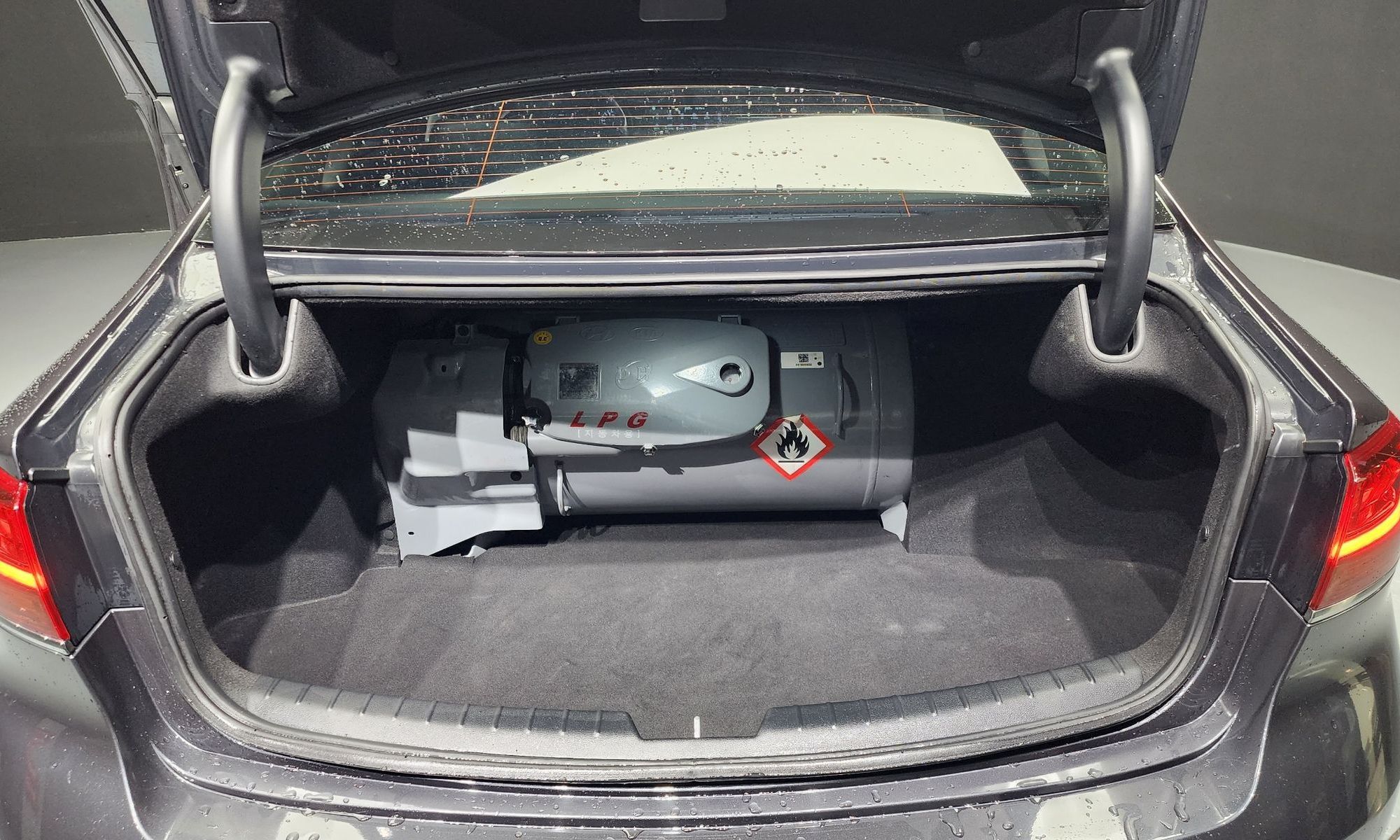 Image 19