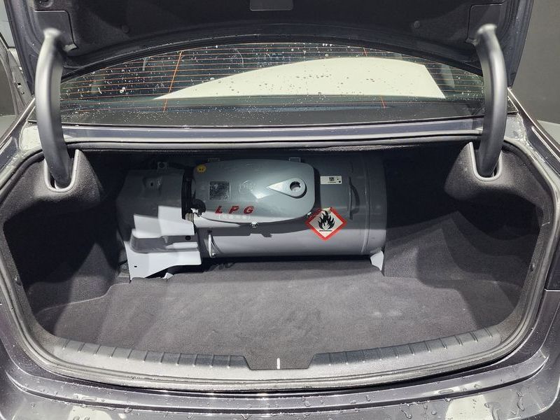 Image 19