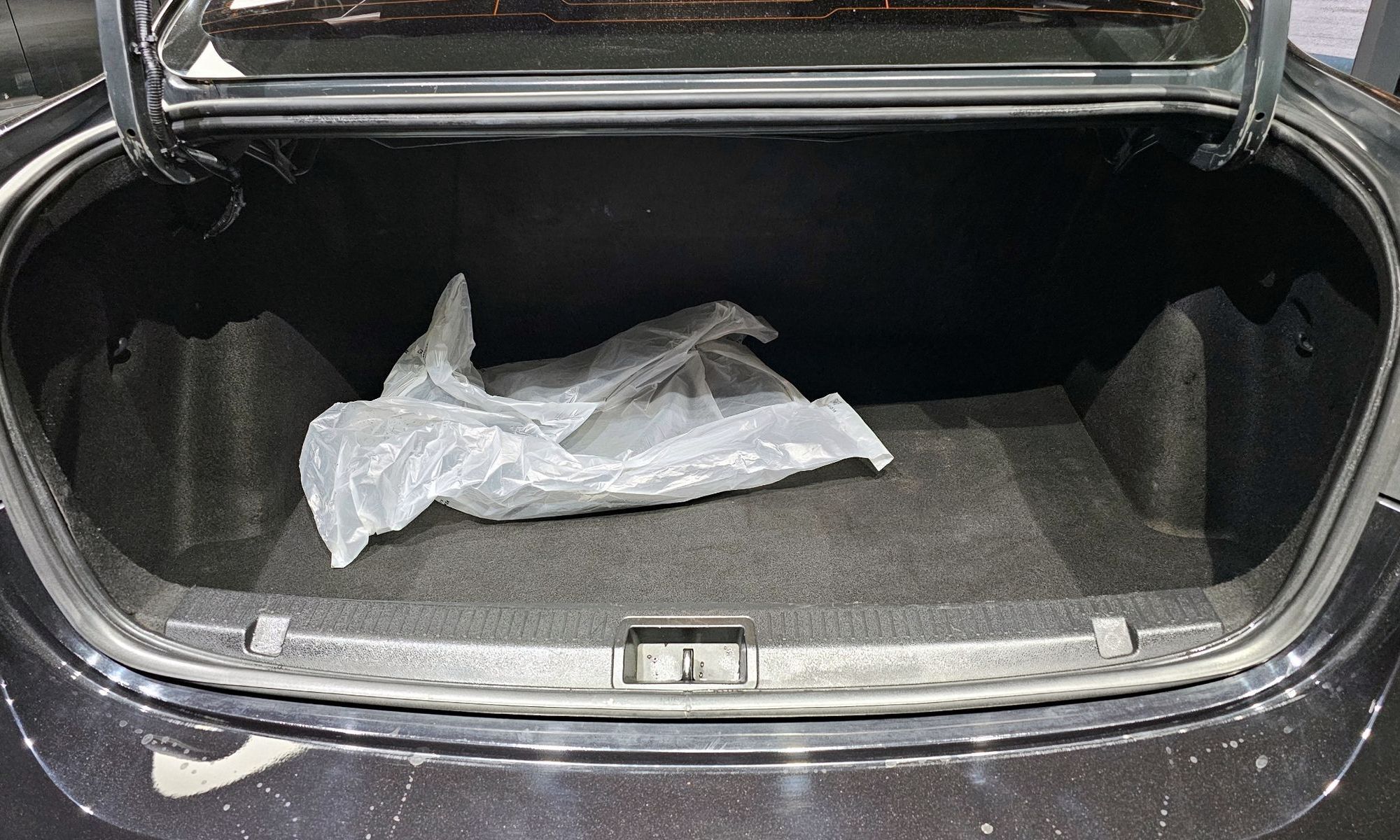 Image 19
