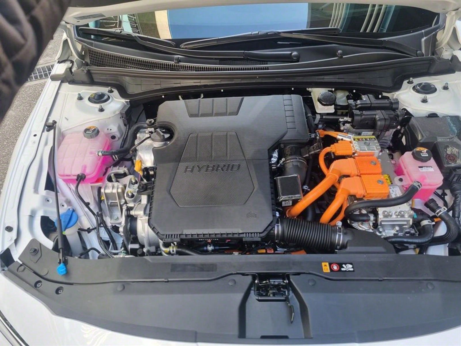 Image 19