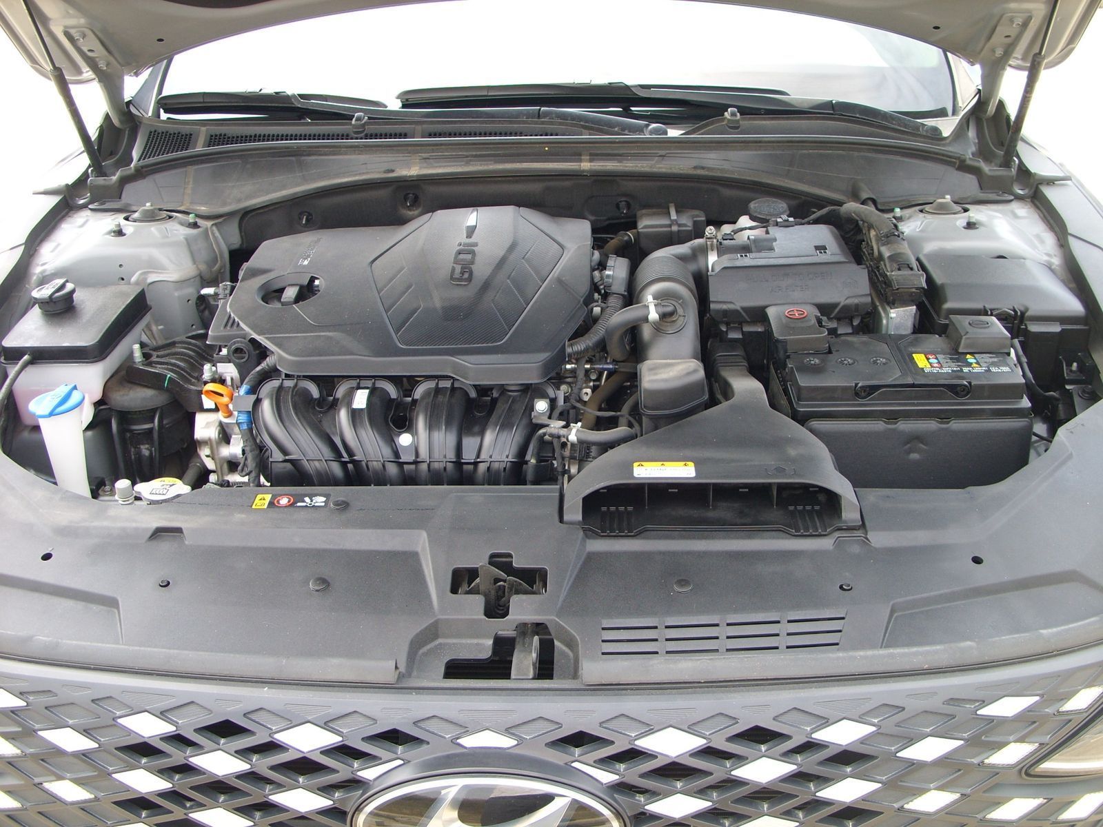 Image 7
