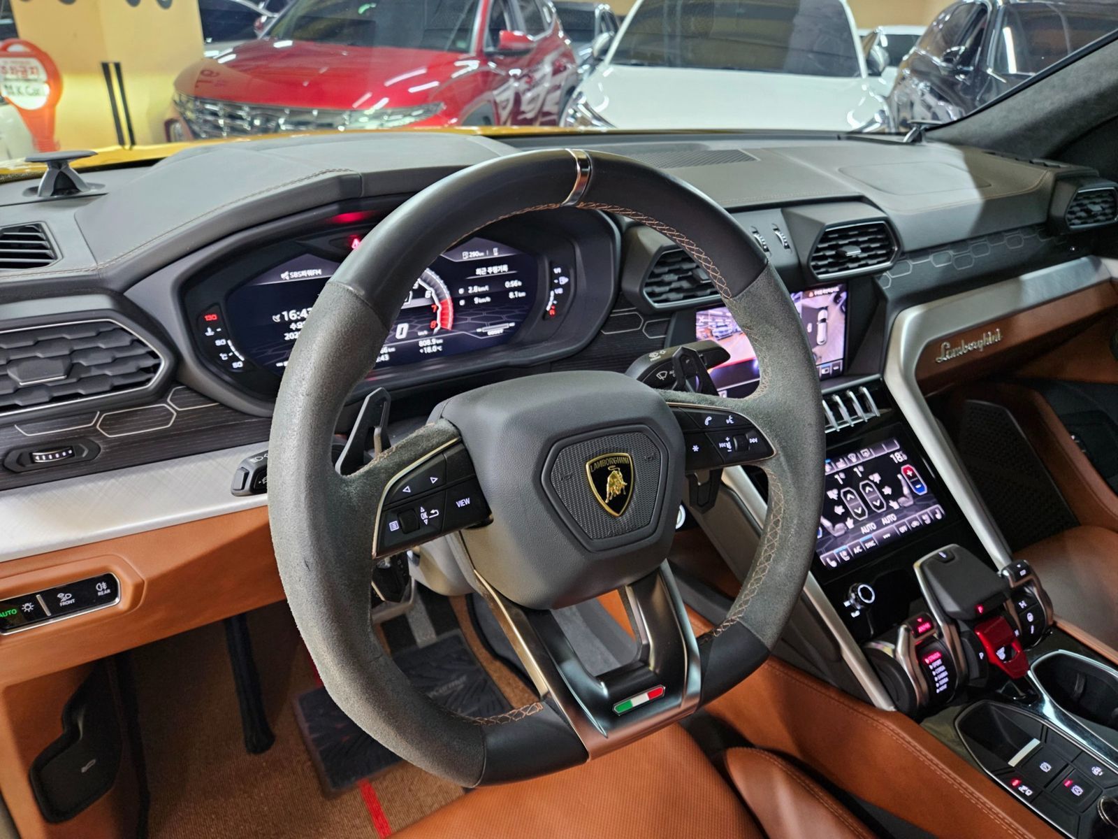 Image 7