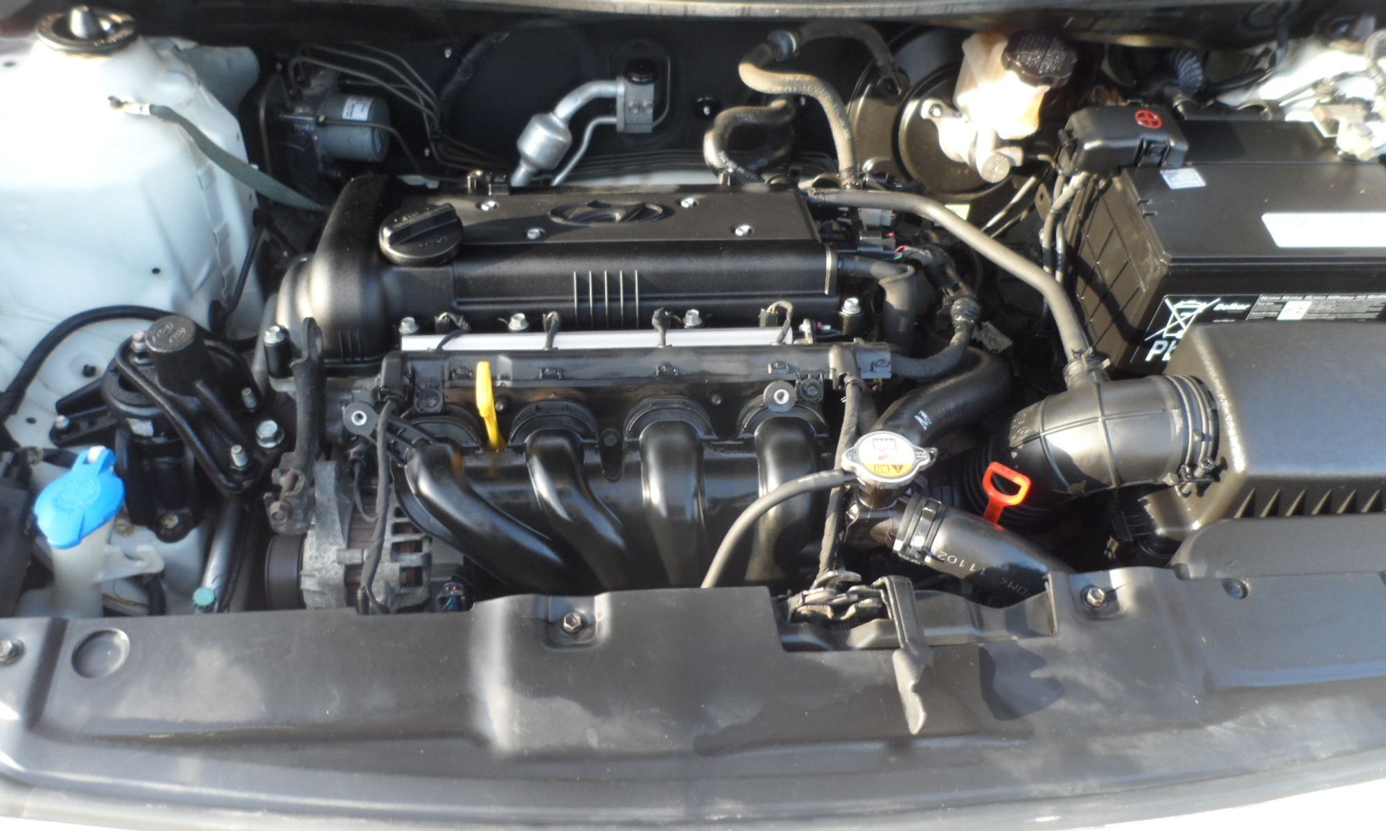 Image 5