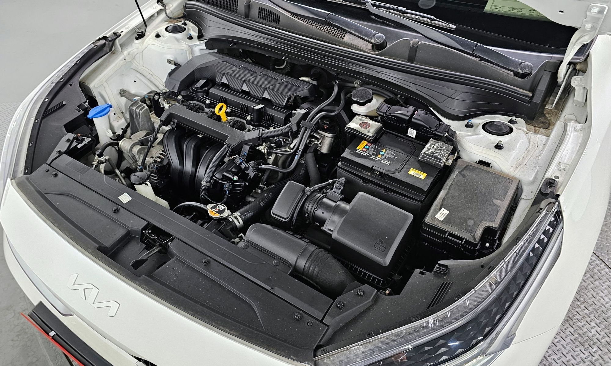 Image 5