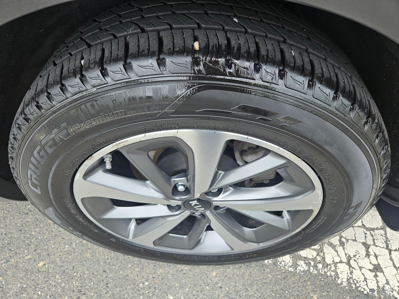 Image 8