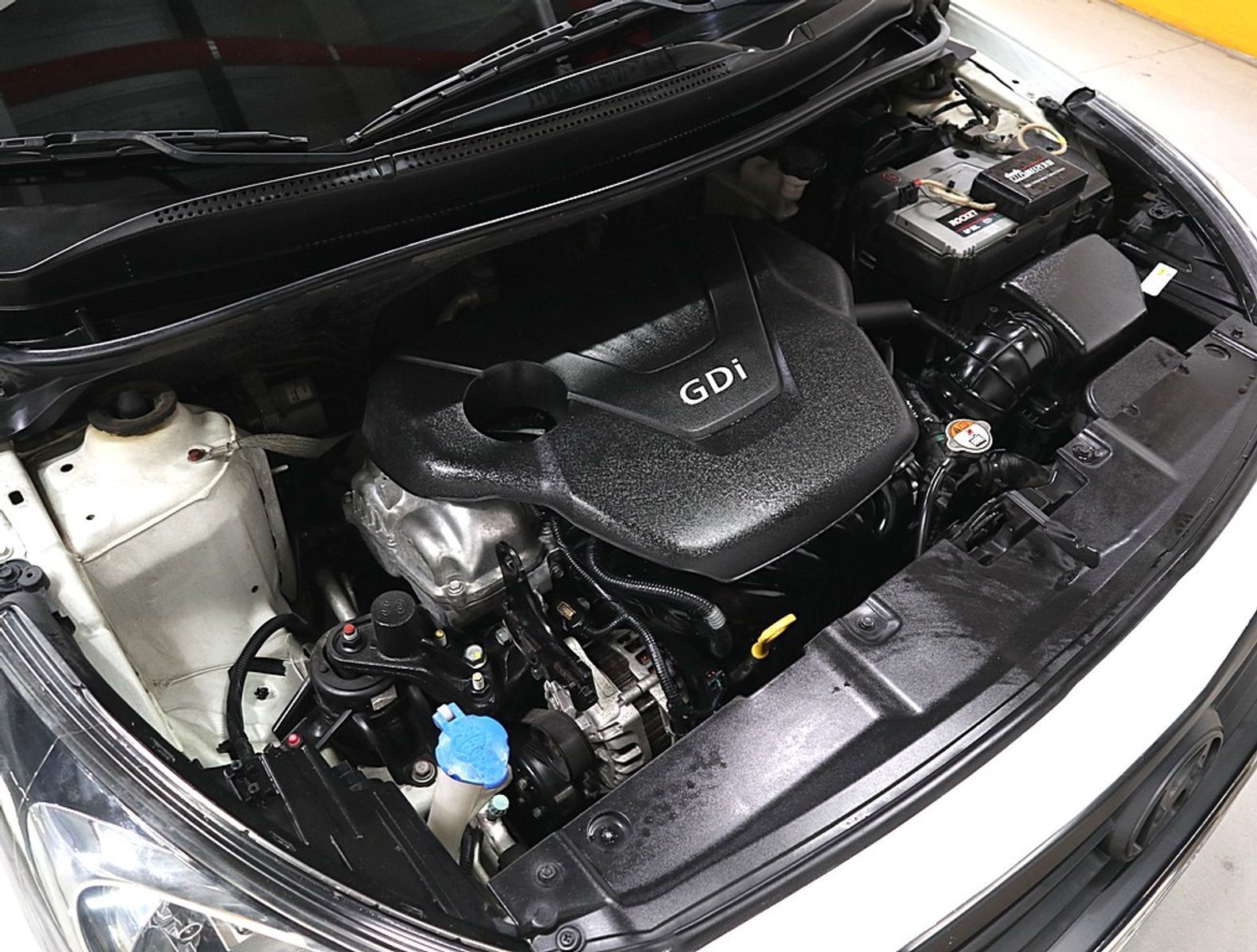 Image 5