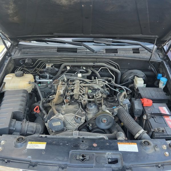 Image 11