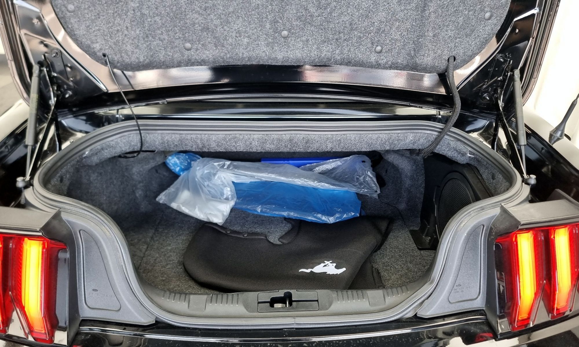 Image 19