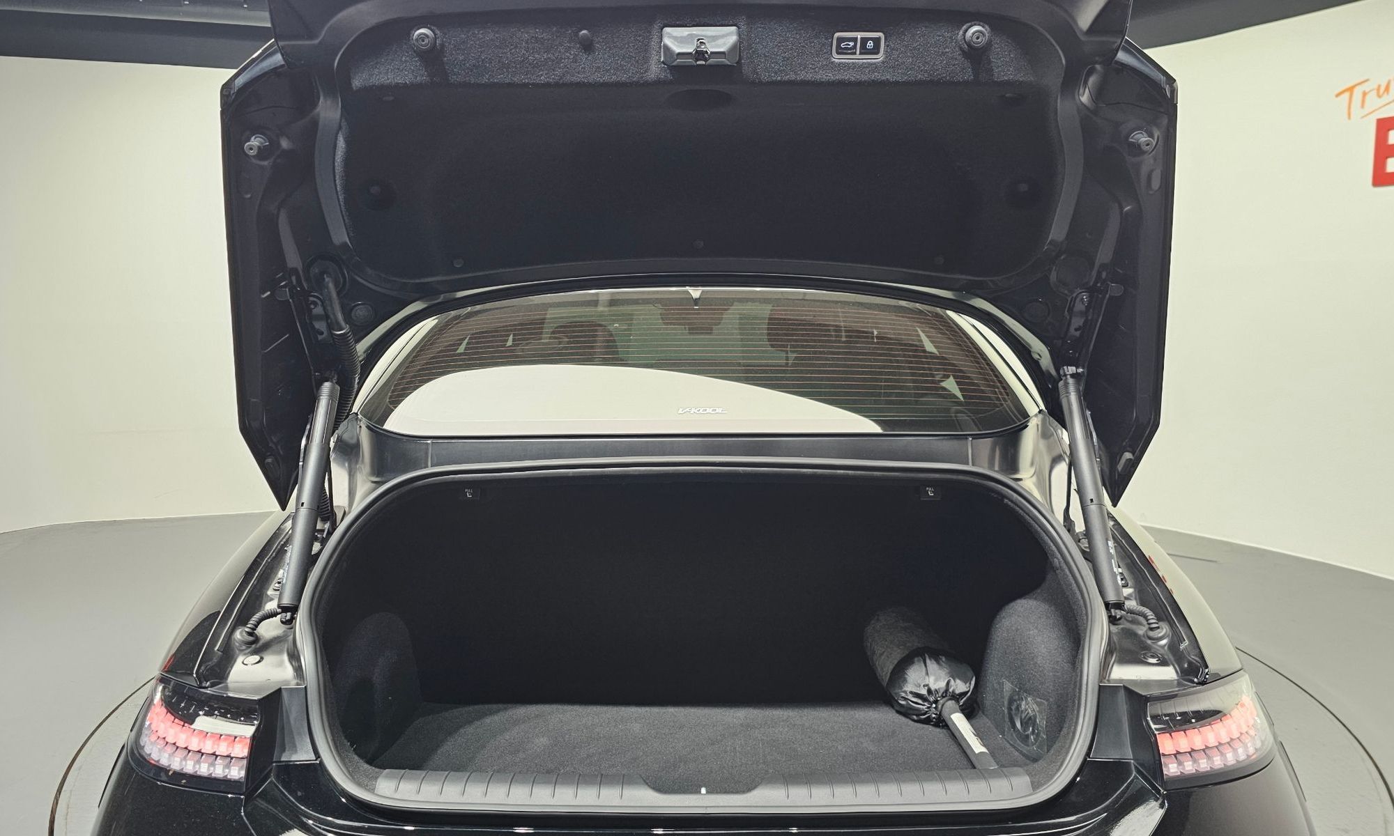 Image 19