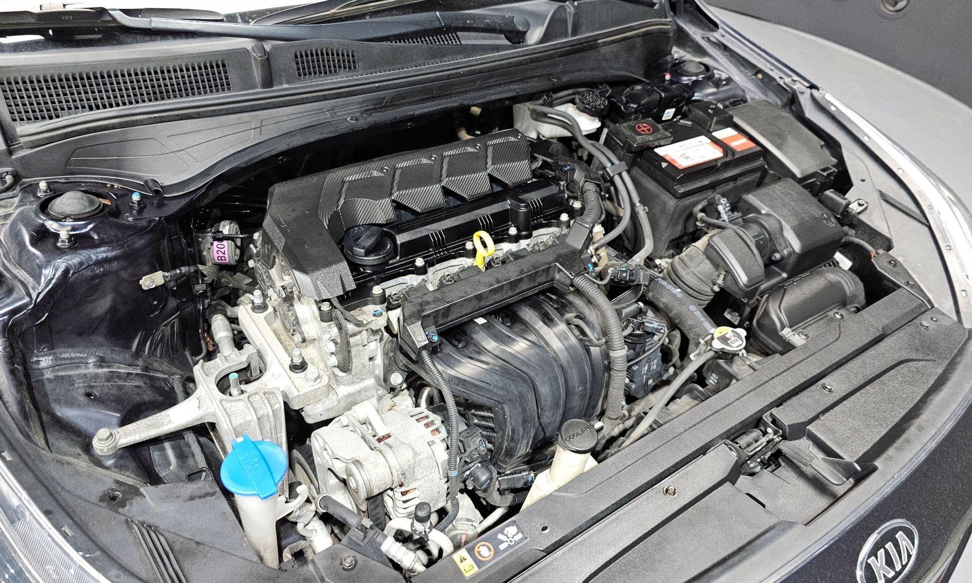 Image 5
