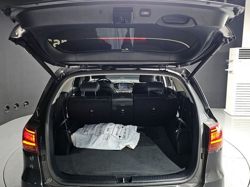 Image 19