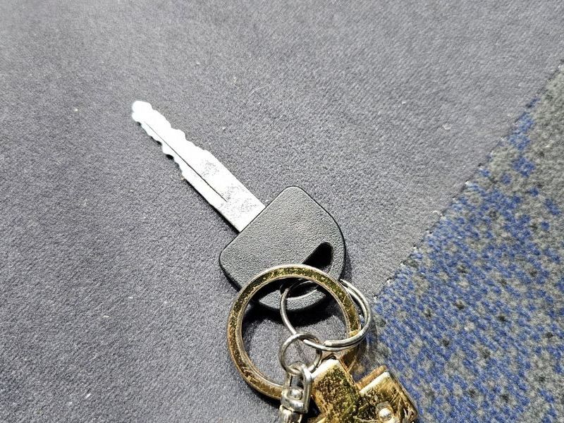 Image 17