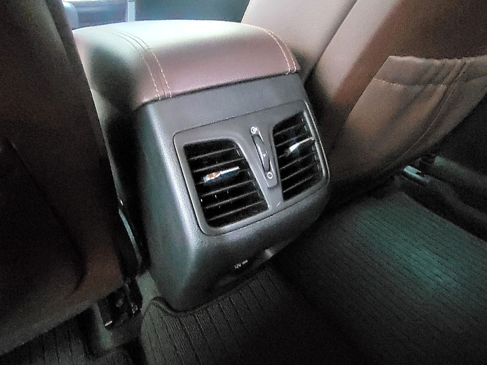 Image 19