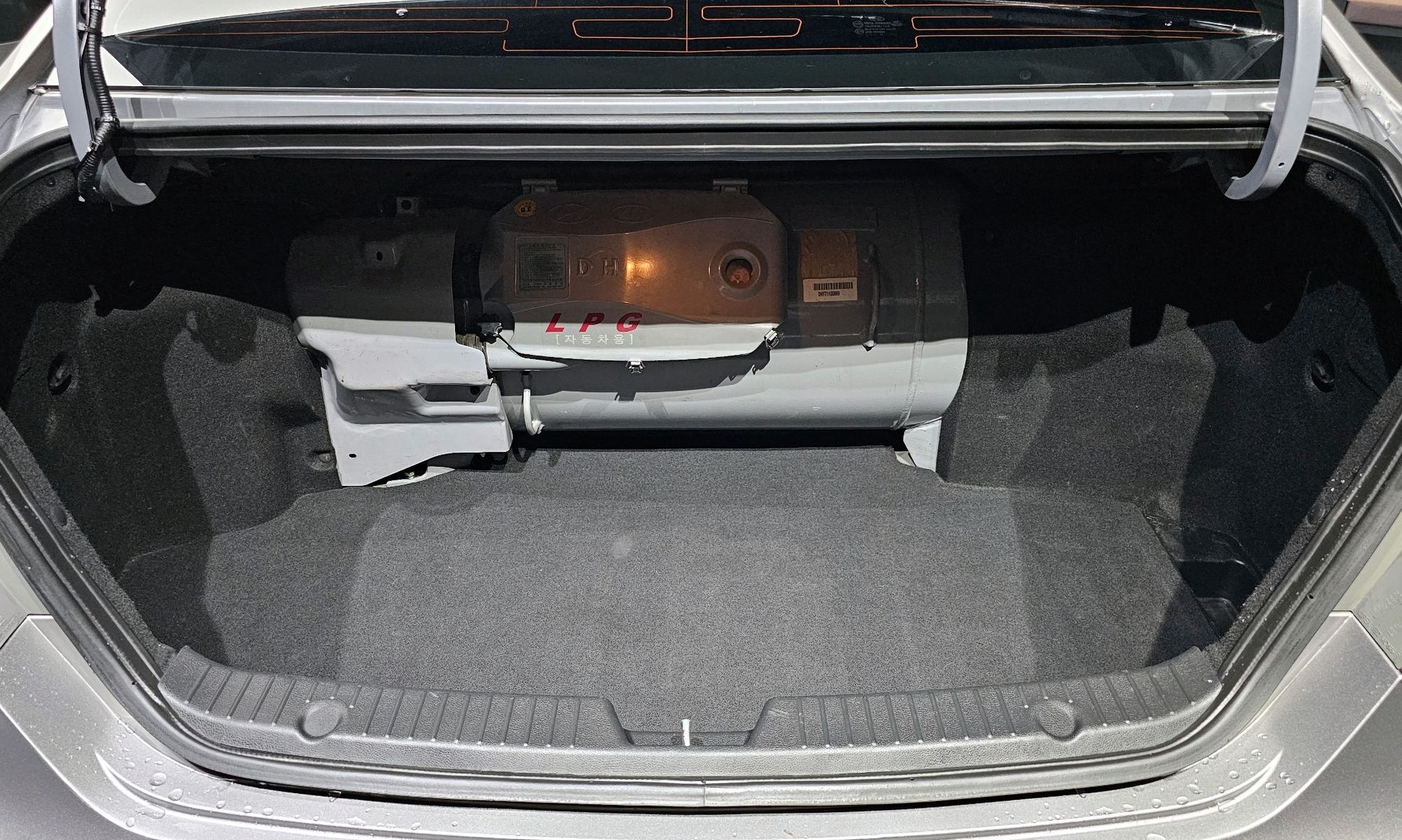 Image 19
