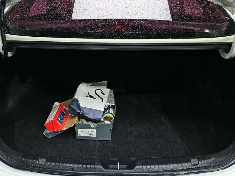 Image 19