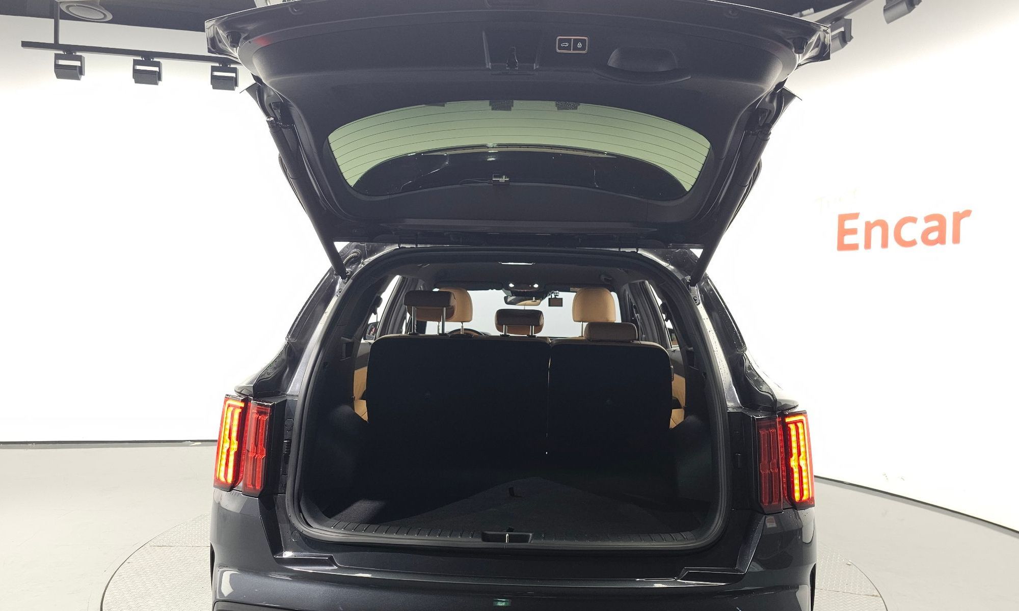 Image 19