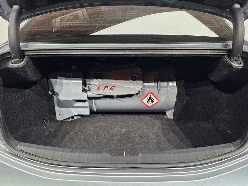 Image 19