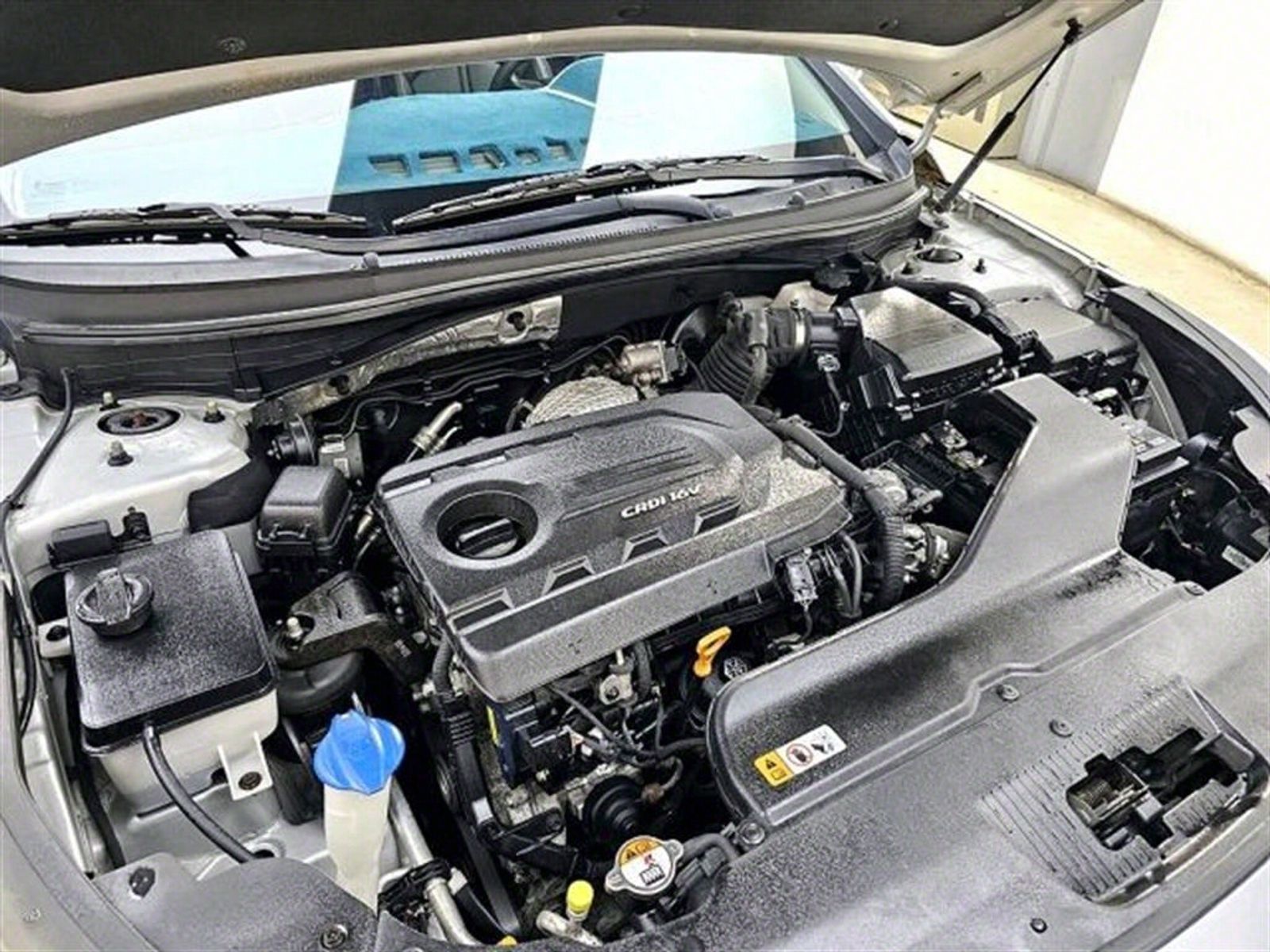 Image 5