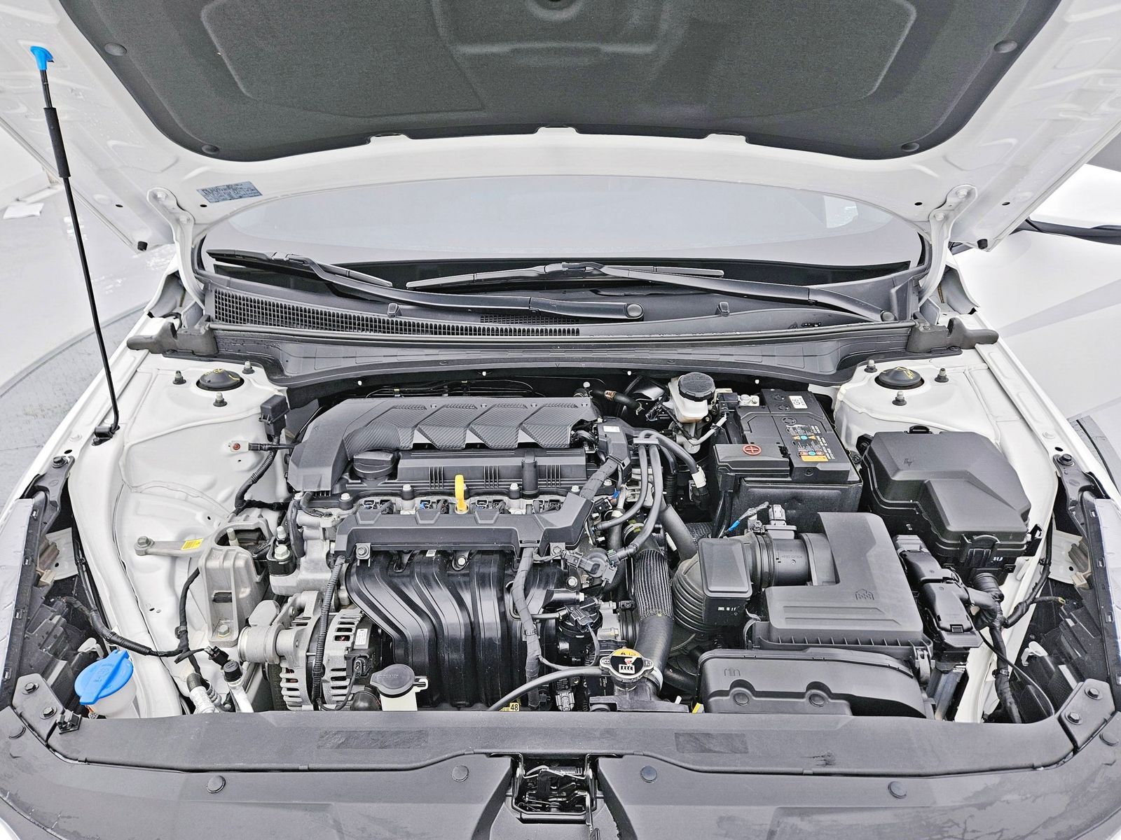 Image 5