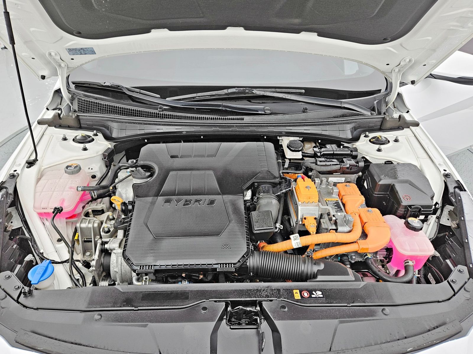 Image 19