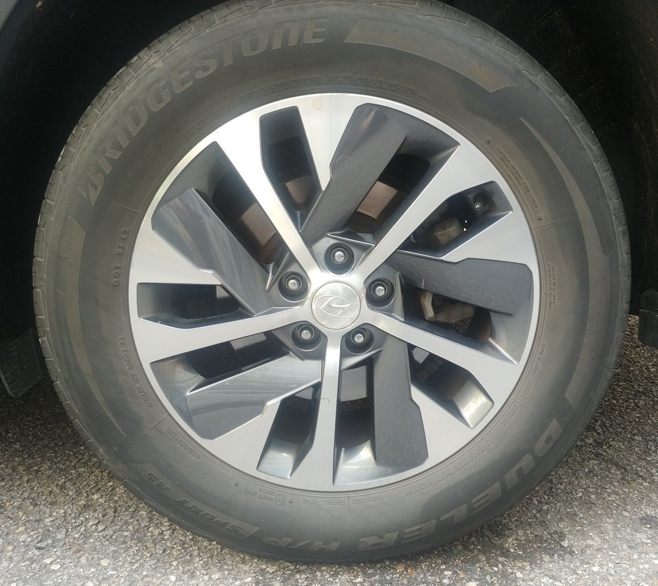 Image 6
