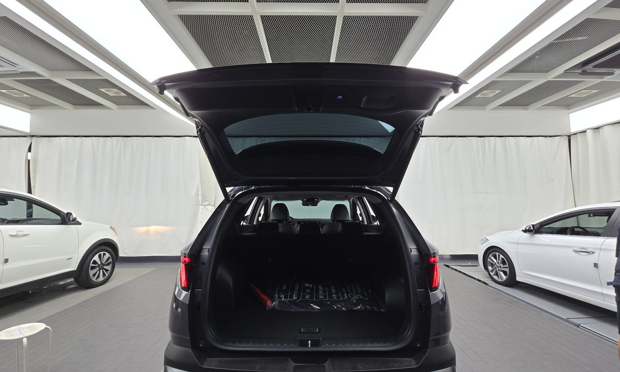 Image 19
