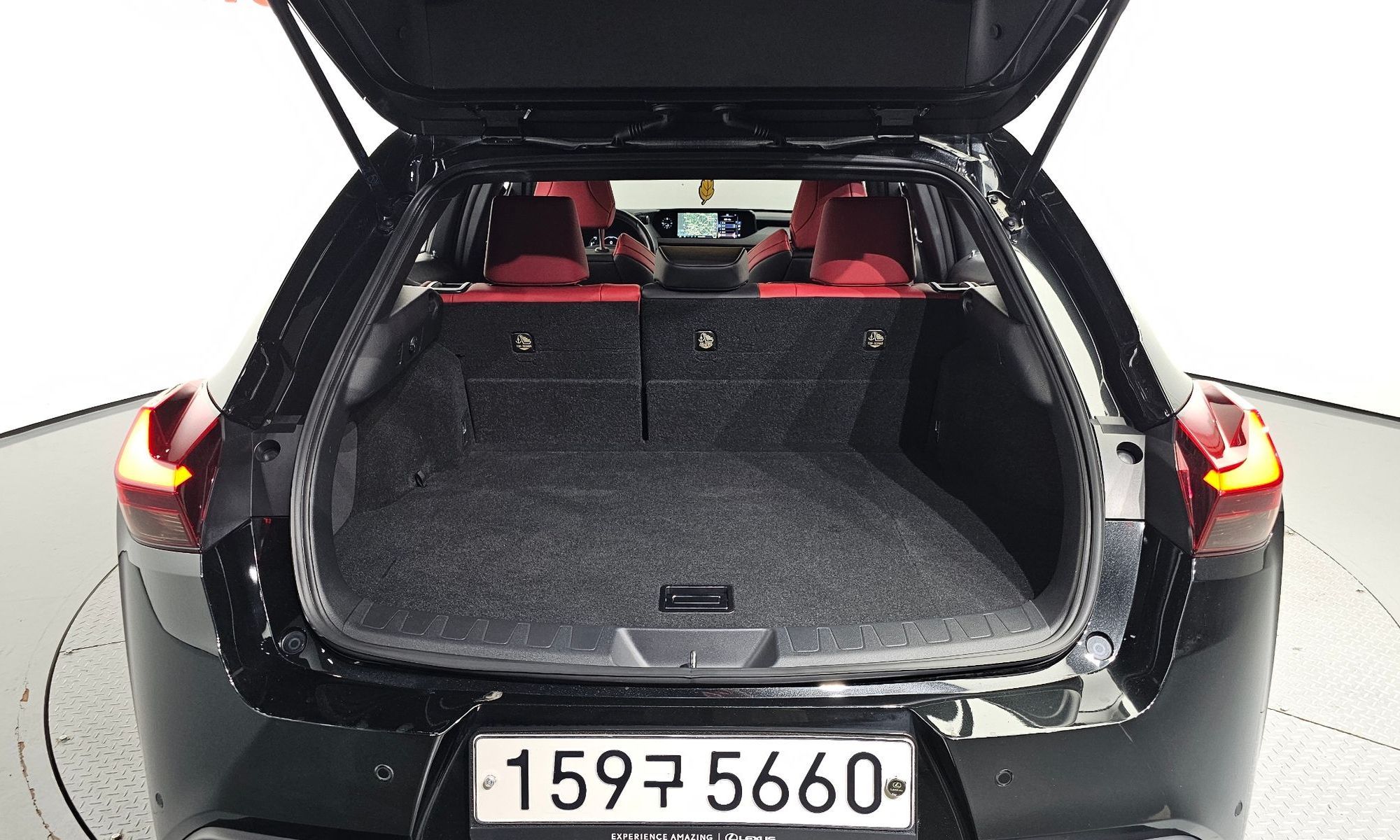 Image 19