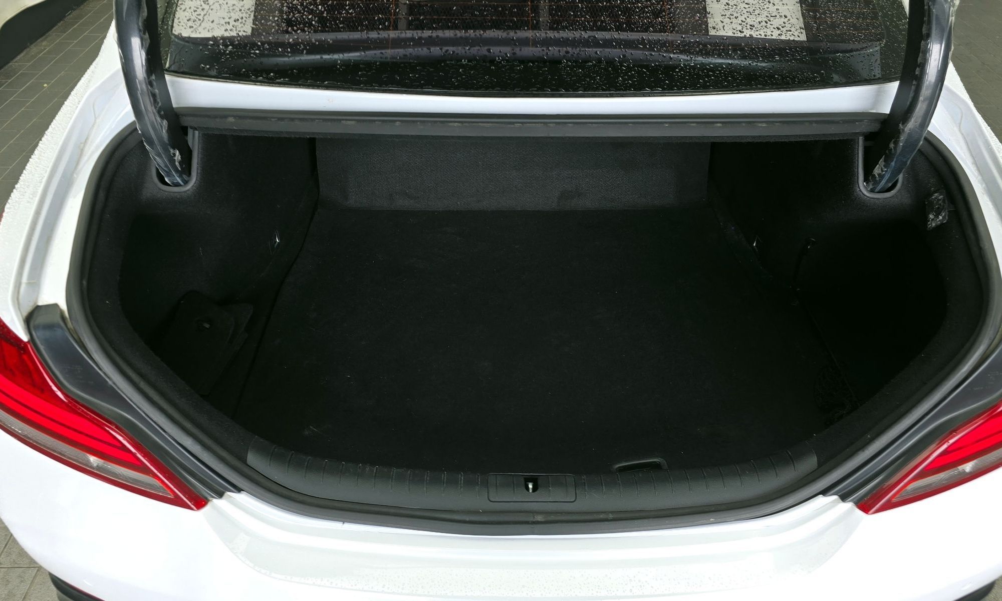 Image 19