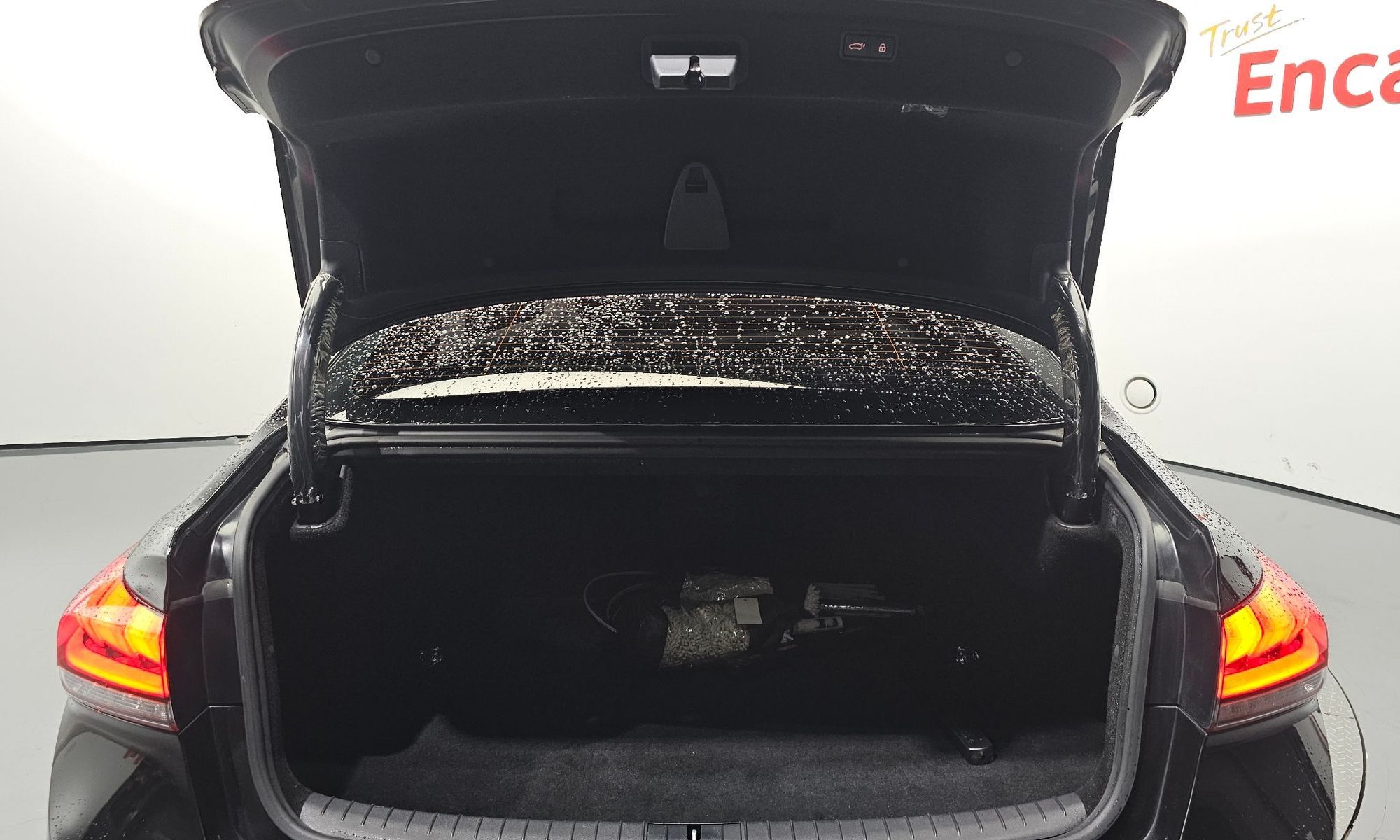 Image 19
