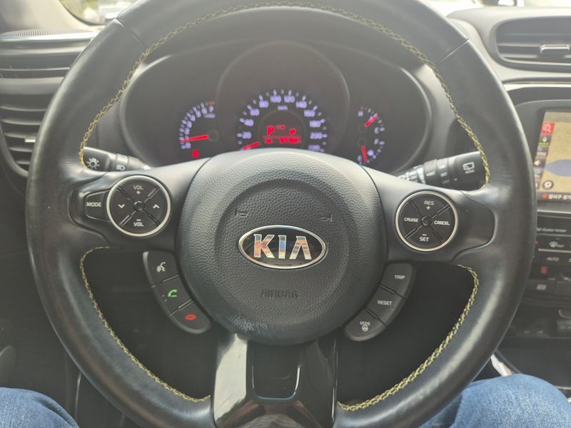 Image 7