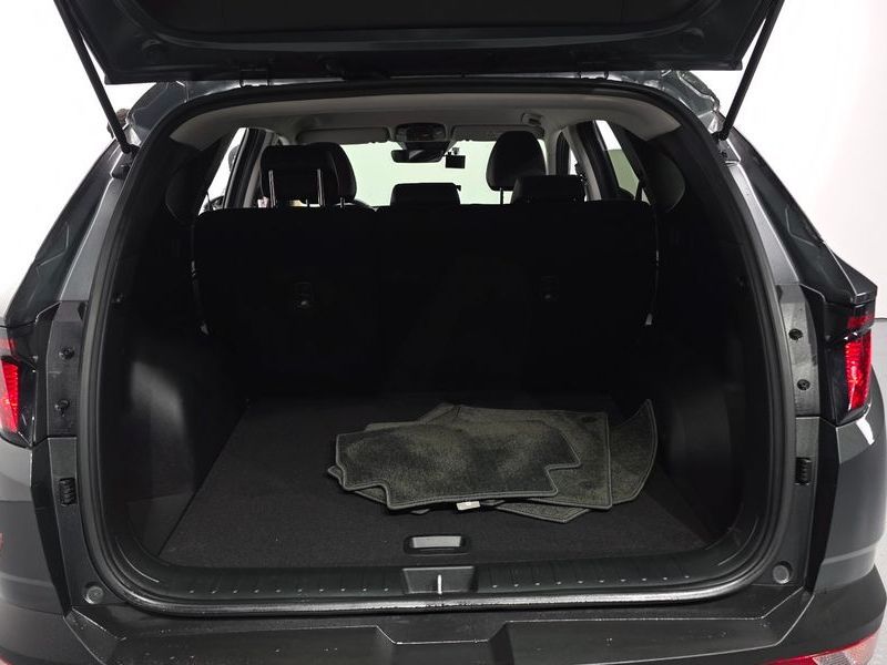 Image 19