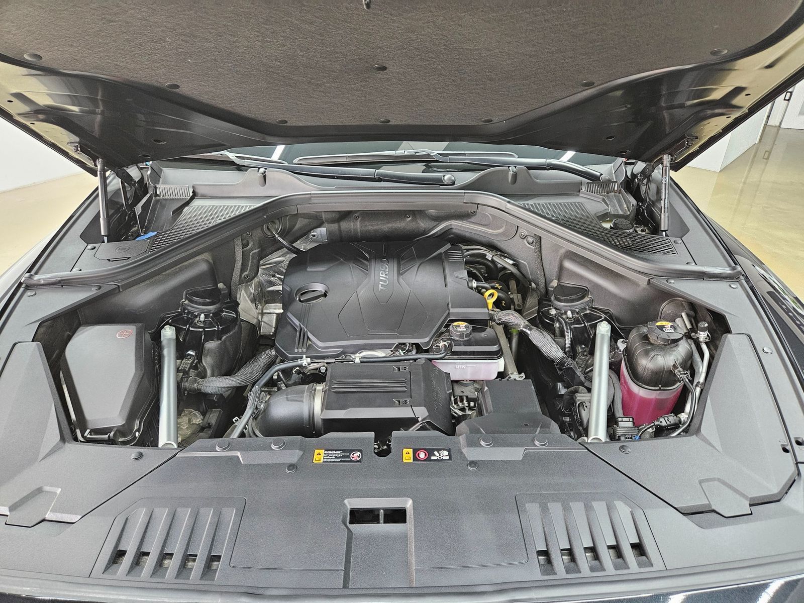 Image 19