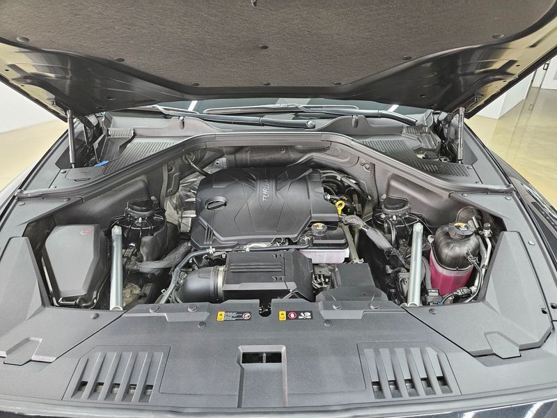 Image 19