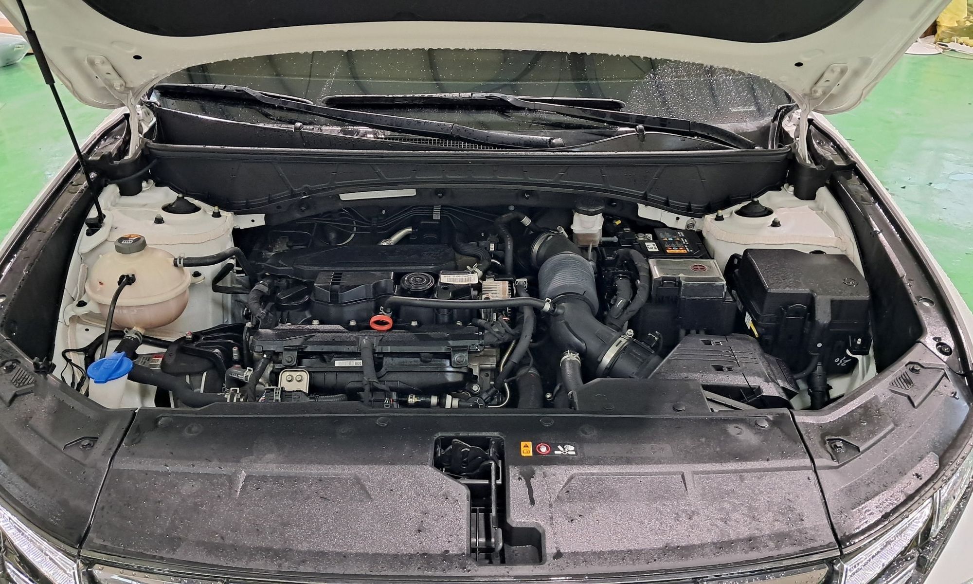 Image 7
