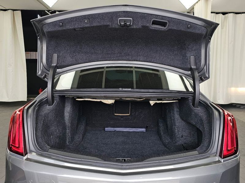 Image 19