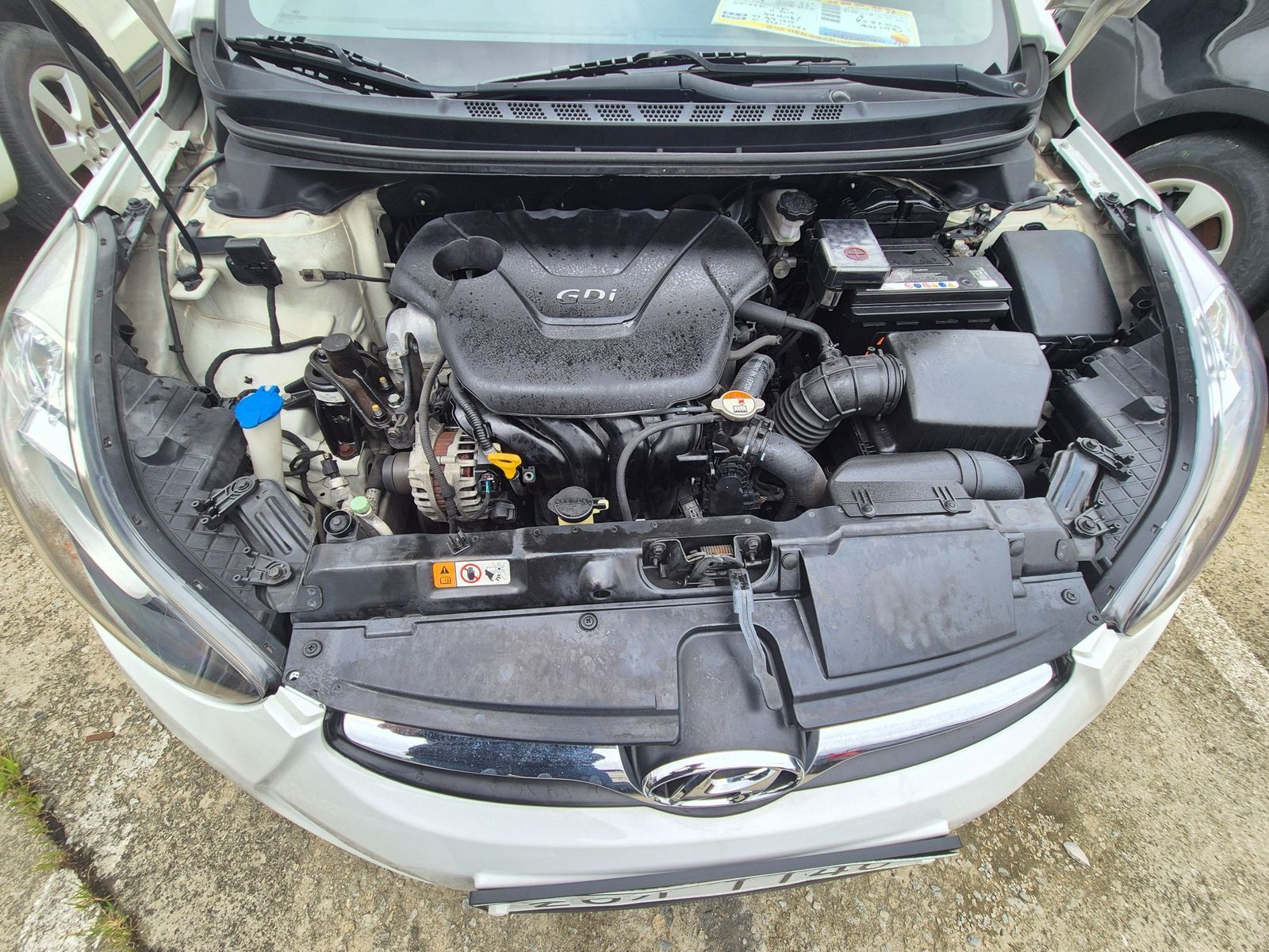 Image 5