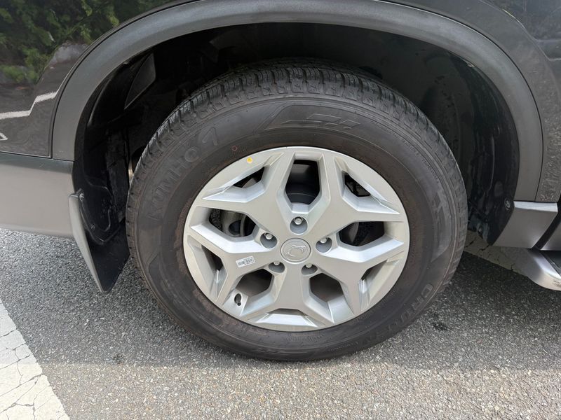 Image 6