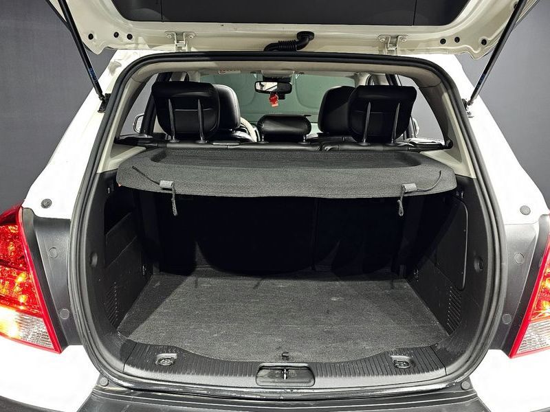 Image 19