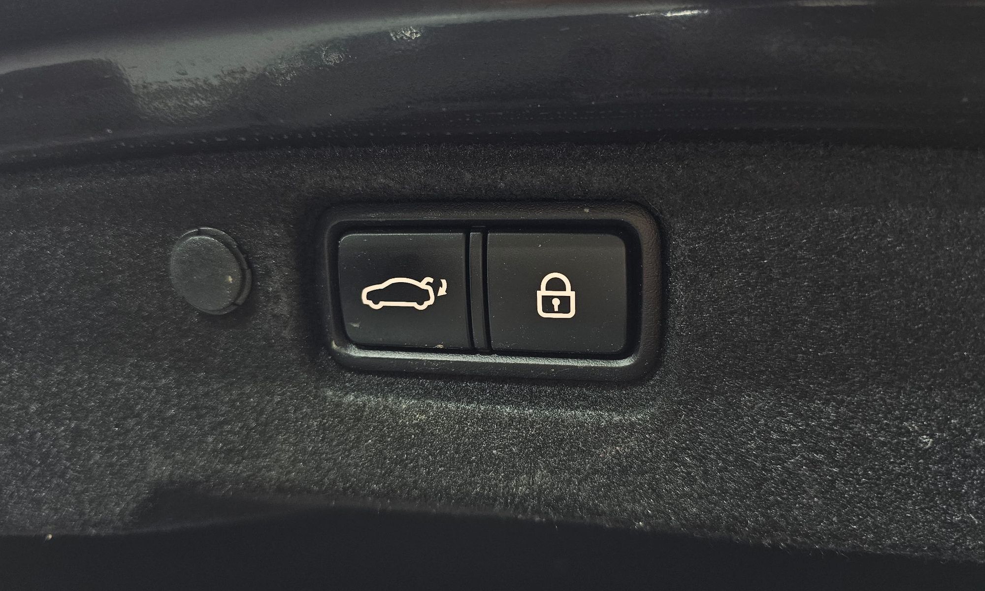 Image 19