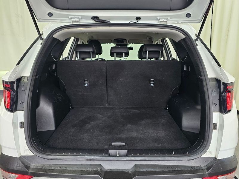 Image 19