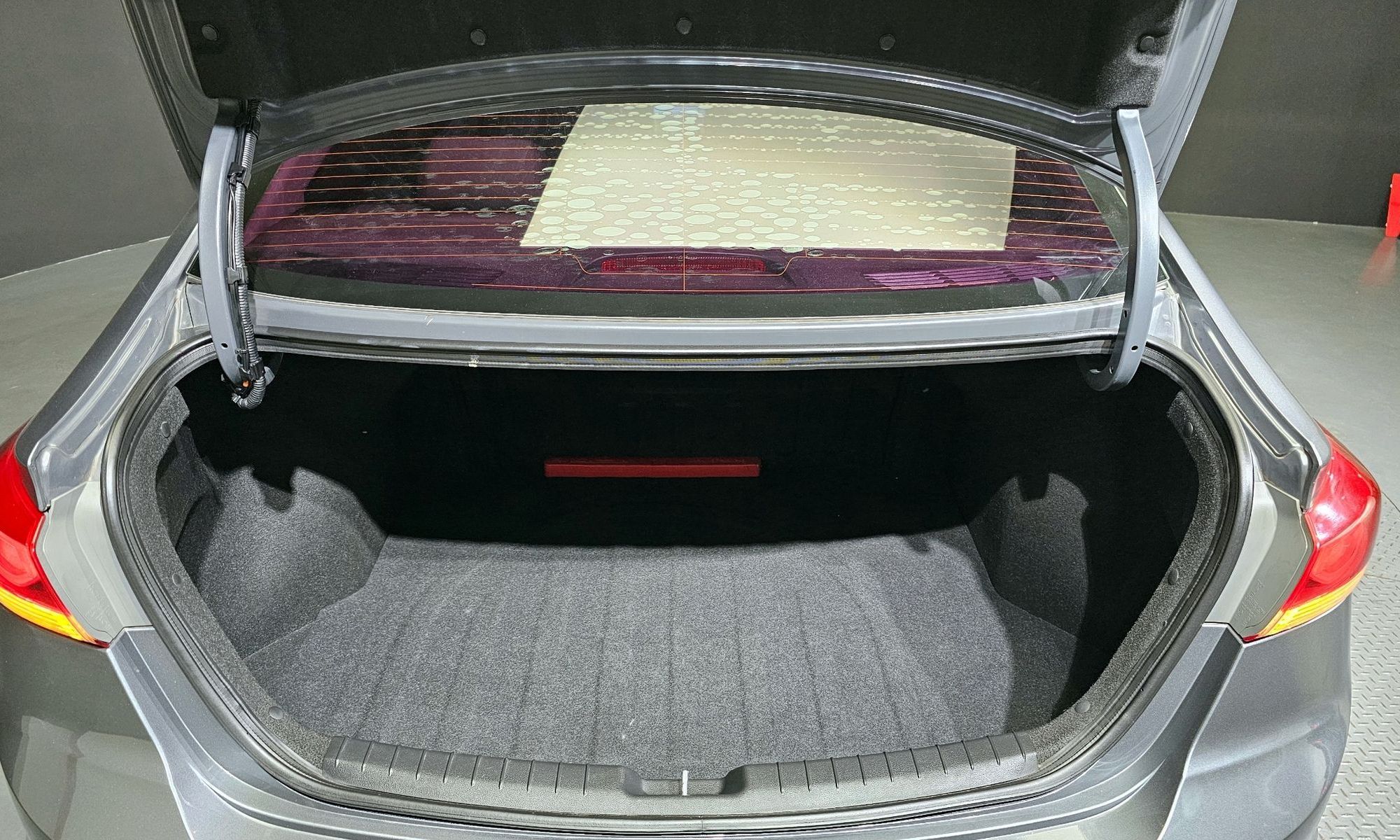 Image 19