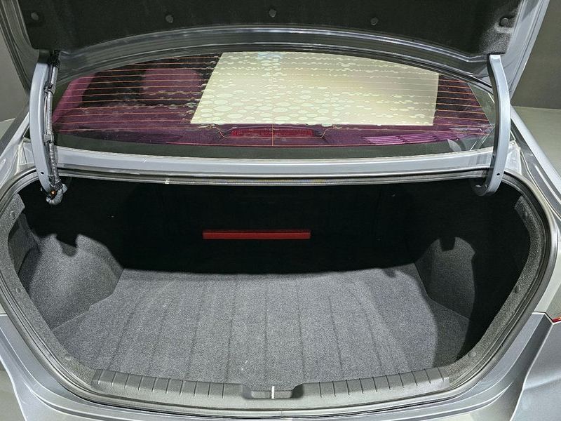 Image 19