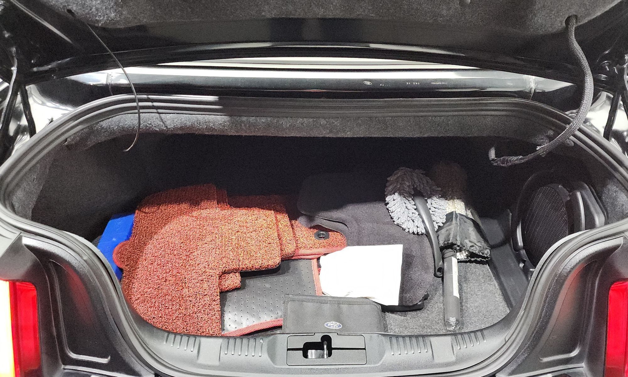 Image 19