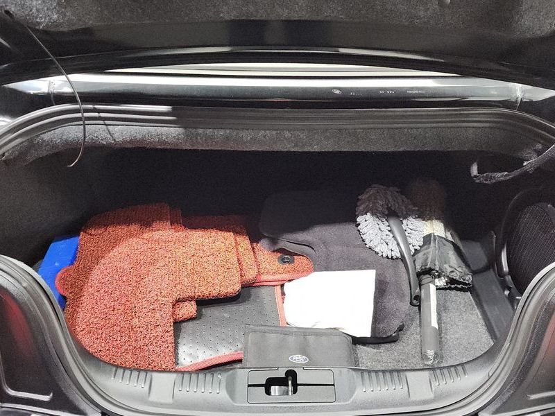 Image 19