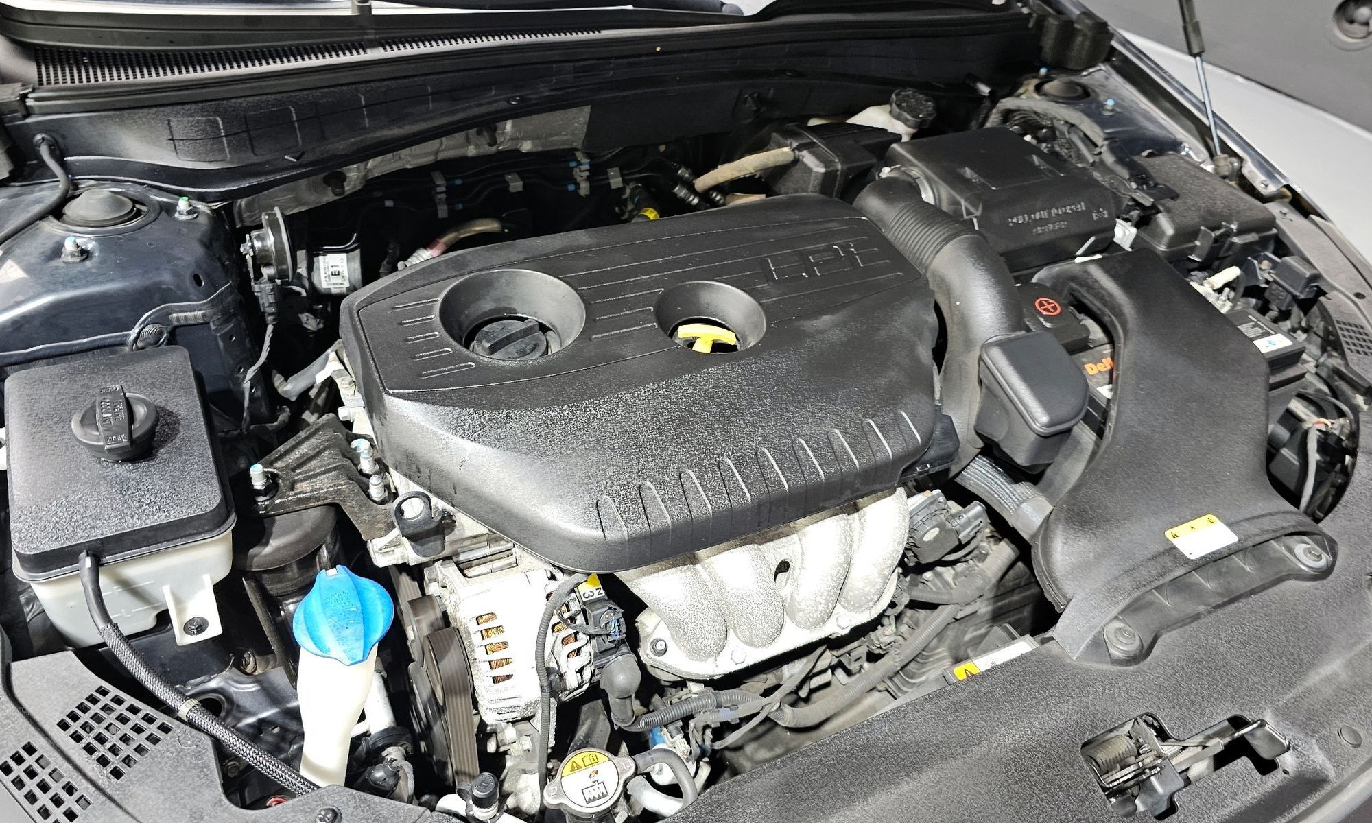Image 5