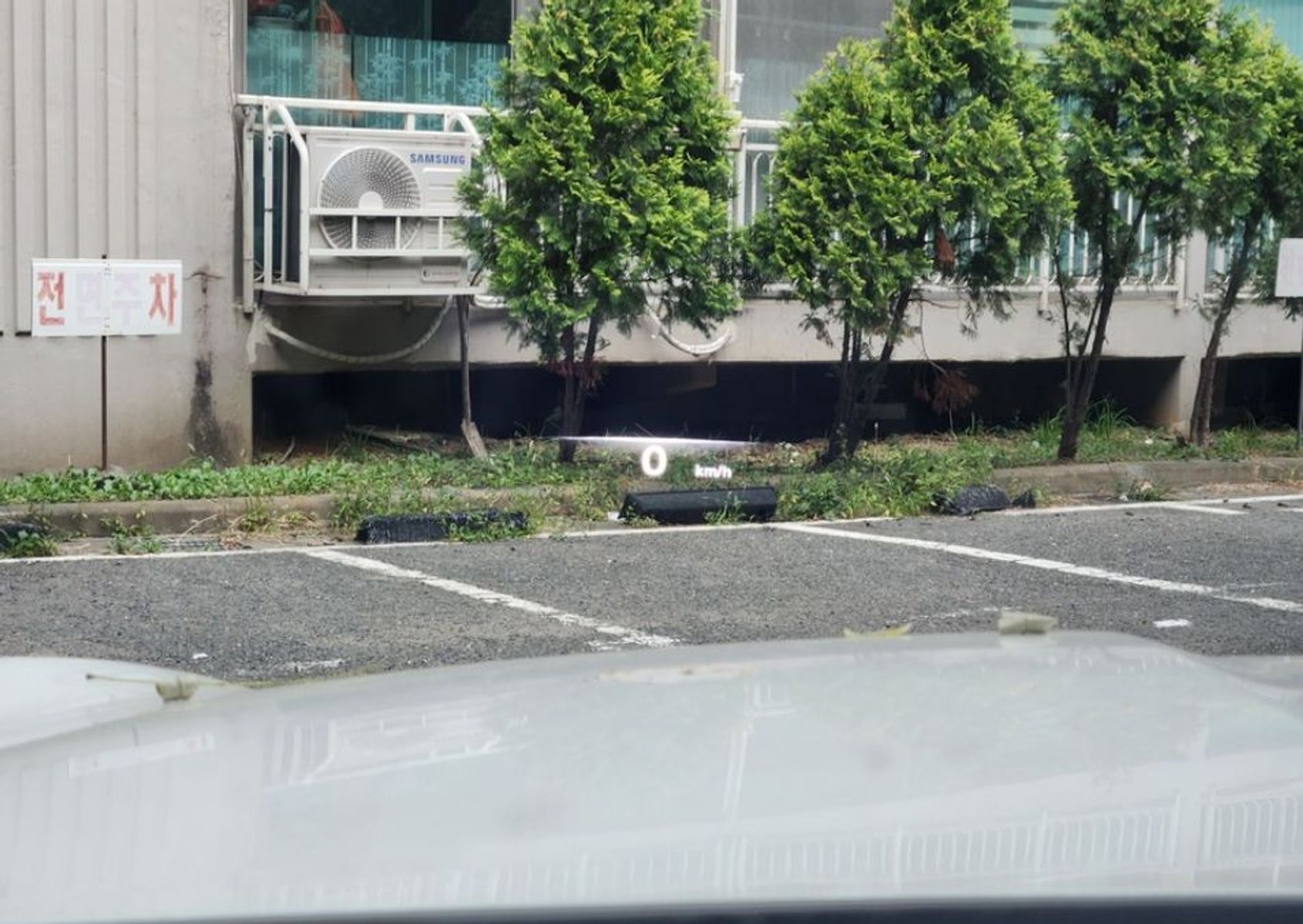 Image 13