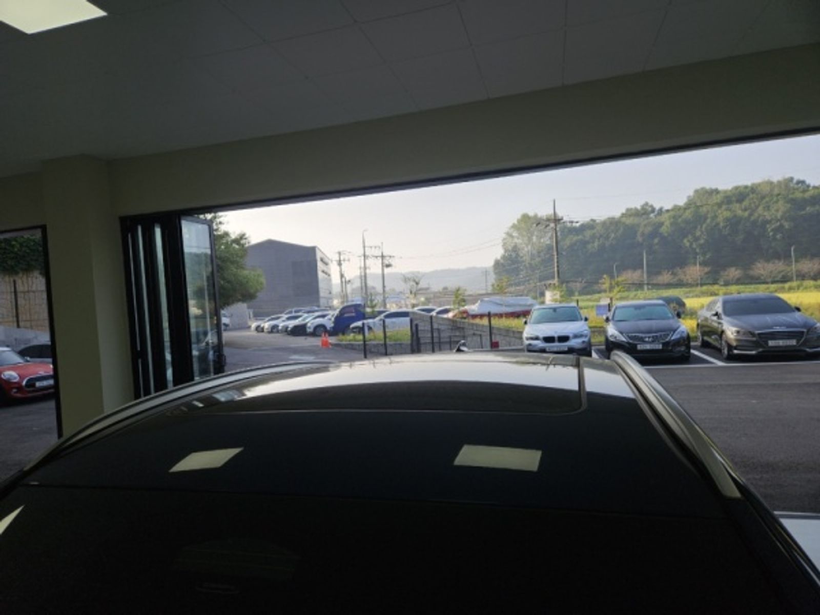 Image 11