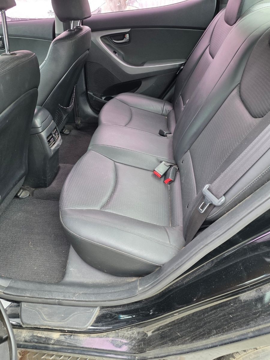 Image 7