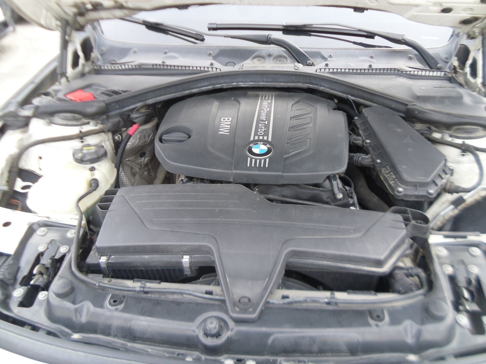 Image 15