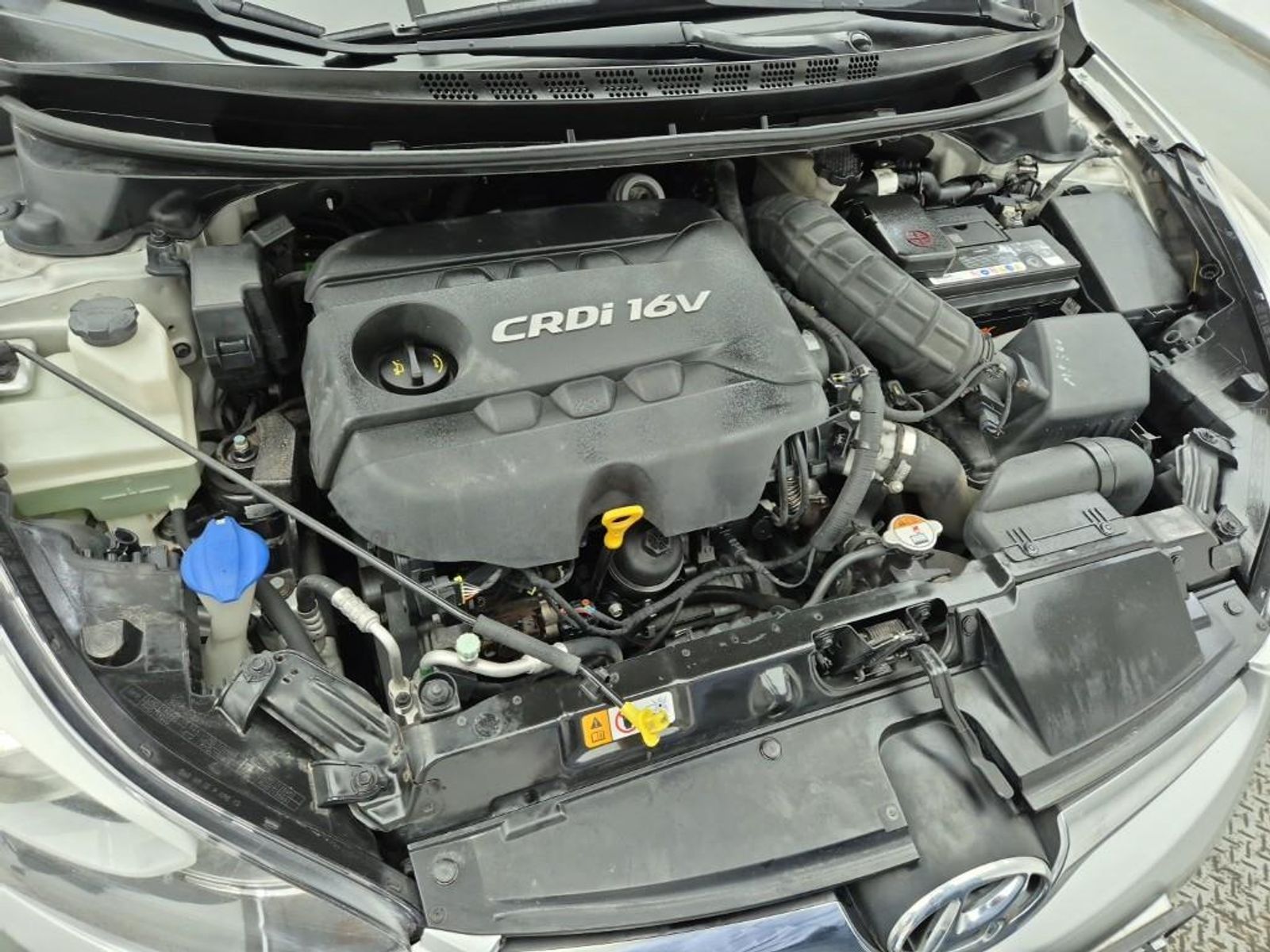 Image 5